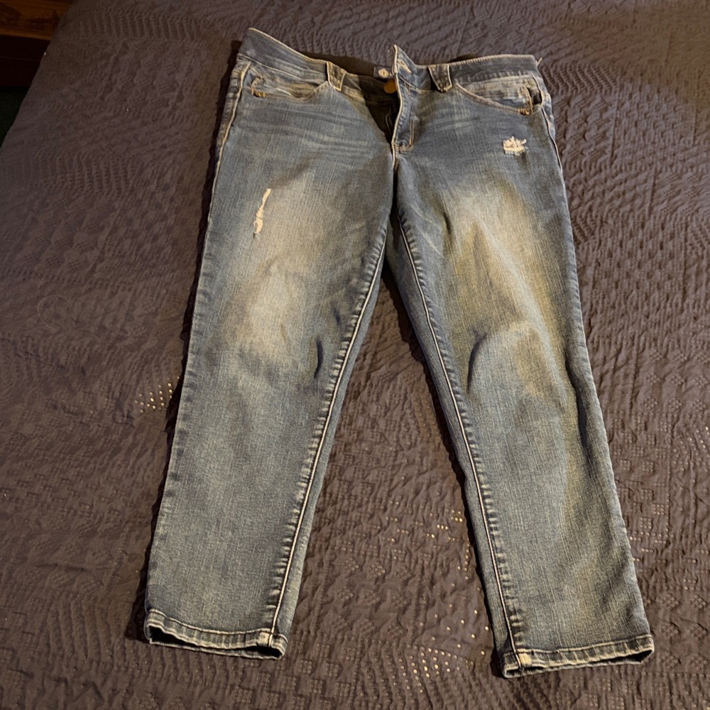 Democracy Skinny Fit Blue Women's Jeans Size 12